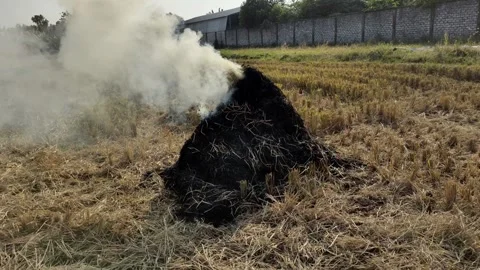 Burning straw pile in a field Stock-Footage 279617028