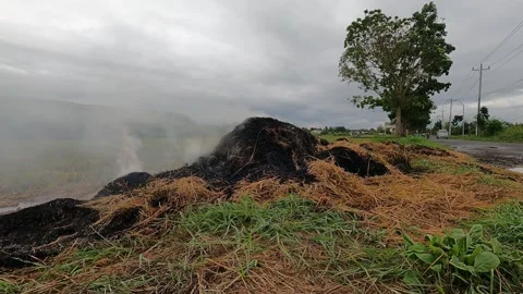 Burning Straw by the Roadside in Central Java – Rural Indonesia Scene Stock Footage 320892445