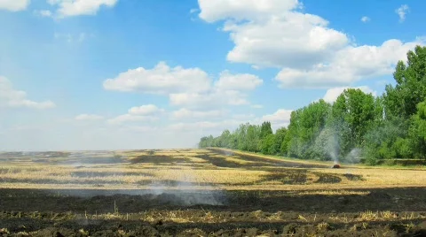 Burning stubble field. time lapse Stock Footage 496270