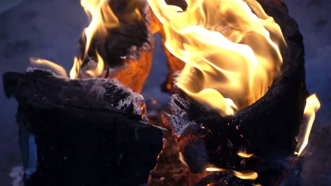 Burning stump in slow motion as a background Stock Footage 129005551