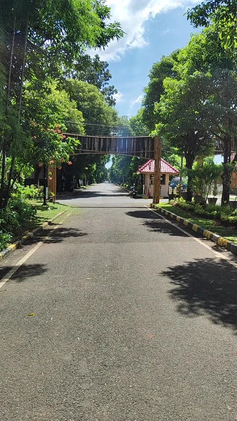 BURNING SUNLIGHT Stock Footage 331013938