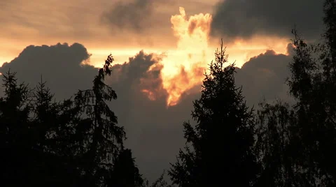 Burning sunset with clouds and trees Stock Footage 55796425
