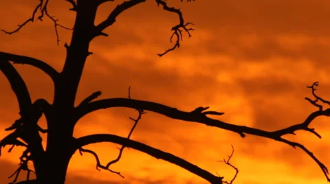 Burning sunset Stock Footage 43307848