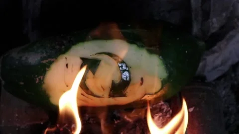A burning sustainability symbol. Stock Footage 164884956