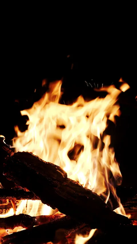 Burning tongues of fire flame in slow motion on a black background. Video stock 313099593