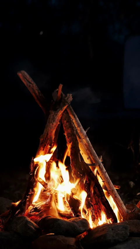 Burning tongues of fire flame in slow motion on a black background. Stock Footage 313101455