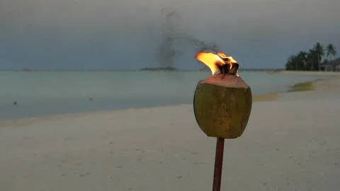 Burning torch on the background of the ocean Stock Footage 147356549