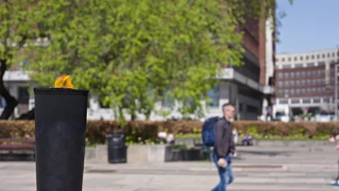 Burning torch with the background out of focus 2 Stock Footage 274431829