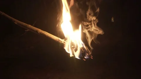 Burning torch in the night forest close-up Stock Footage 73734444