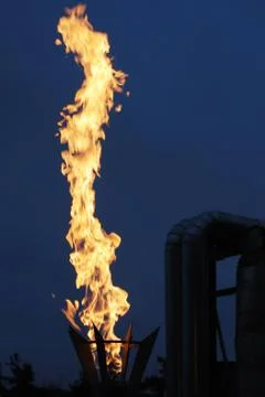 Burning torch Foto stock