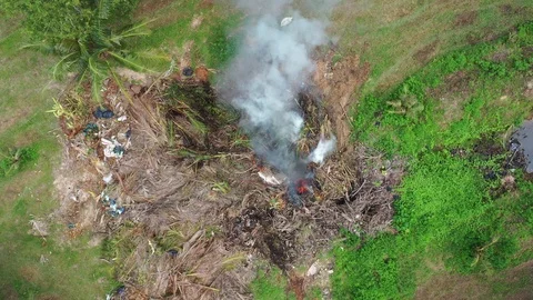 Burning trash and forest Video stock 119095550