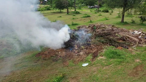 Burning trash and forest Vídeos de archivo 119096230