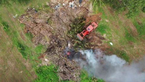 Burning trash and forest Video stock 119096520