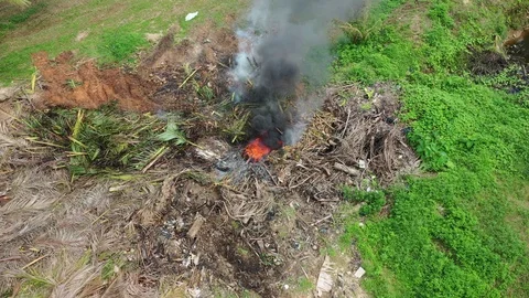 Burning trash and forest Video stock 119096914