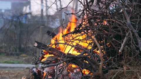 Burning trash and tree in a farm 库存影片 162634378