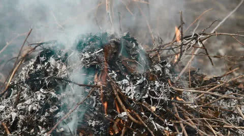 Burning trash Stock Footage 24370952