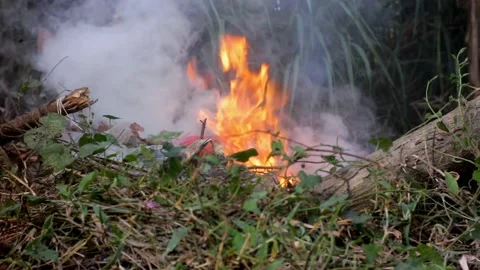 Burning trash Stock Footage 206393748