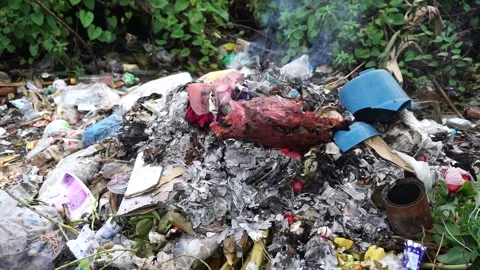 Burning trash Stock Footage 219678874