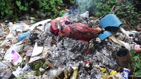 Burning trash Stock Footage 219685729