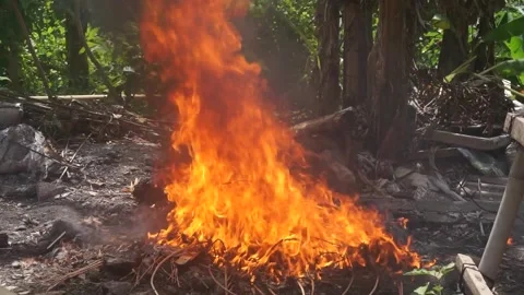 Burning trash on the ground. Flames at the junkyard. Pollution concept. 库存影片 245402500