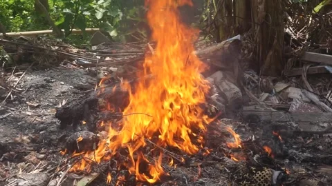 Burning trash on the ground. Flames at the junkyard. Pollution concept. Video stock 245402503