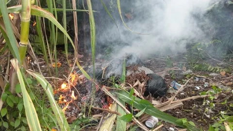 Burning trash in landfills Stock Footage 219709371