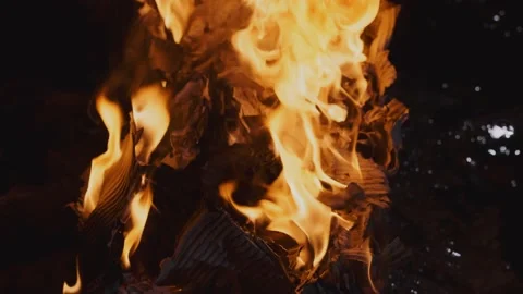 Burning trash in the night, pollution. Fire in the dark. Stock Footage 145922616