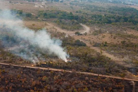 Burning trash Stock Photos