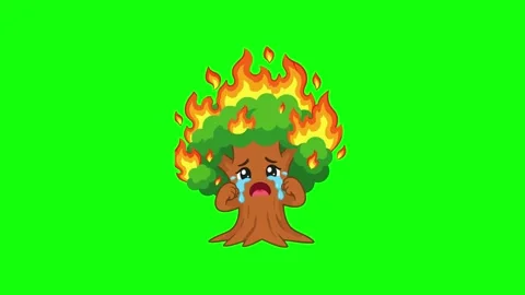 Burning tree animated forest fire and cl... | Stock Video | Pond5