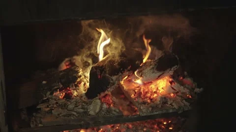 A burning tree on a background of smoldering coals. Stock Footage 236538260