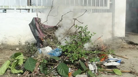Burning of tree branches and plastic waste in the yard Stock Footage 294699745