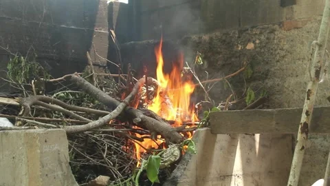 Burning Tree Branches and Twigs in an Outdoor Fire Stock Footage 345333629