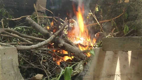 Burning Tree Branches and Twigs in an Outdoor Fire Stock Footage 345333631