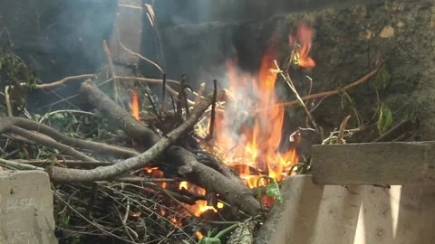 Burning Tree Branches and Twigs in an Outdoor Fire Stock Footage 345333634