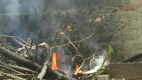Burning Tree Branches and Twigs in an Outdoor Fire Stock Footage 345333643