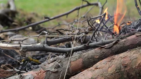 Burning Tree Branches on the Campfire (Slow Motion) Stock Footage 292160256