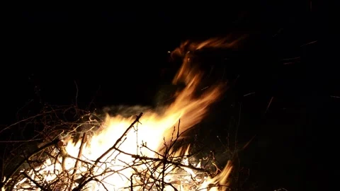 Burning Tree Branches on Fire. Stock-Footage 101649464