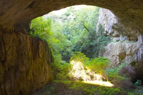 Burning tree in cave Stock Photos
