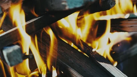 Burning tree close-up Stock Footage 135781012