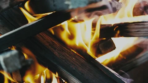 Burning tree close-up Stock-Footage 135781136