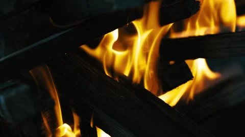 Burning tree close-up Stock Footage 135781149