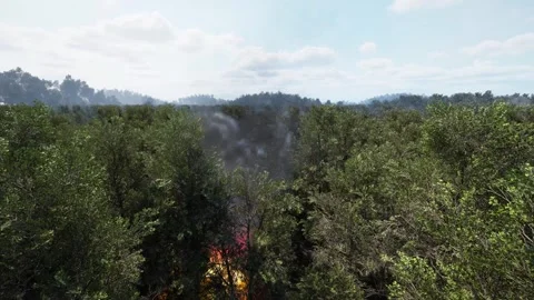 A burning tree in a computer game. Gaming forest fires. Stock Footage 278085954