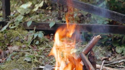 Burning tree. Fire due to prolonged dry weather. Smoldering. Fires concept. Stock Footage 195308490