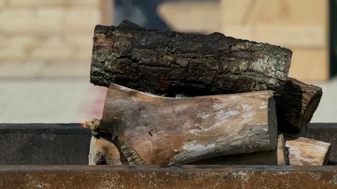 The burning tree Vídeos de archivo 81162757