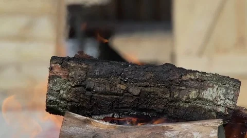 The burning tree Vídeos de archivo 81162781