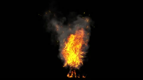 Burning Tree Stock Footage 134617191