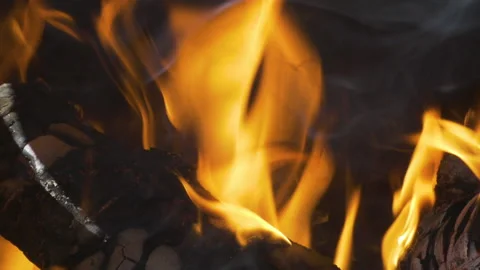 Burning tree Видео 159122110