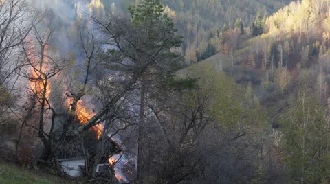 Burning Tree Isolated Single House Wooden Cottage Large Fire Mountain Forest Day Video stock 41661231