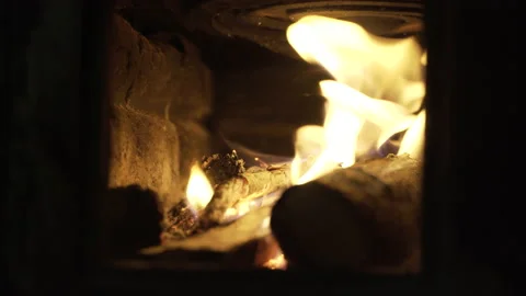 Burning tree stumps in the stove Stock Footage 166690462