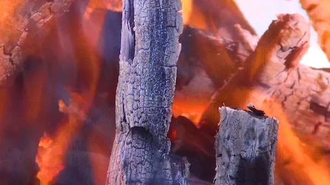 Burning tree trunk covered in flames. Wildfire Concept. Stock Footage 122517293
